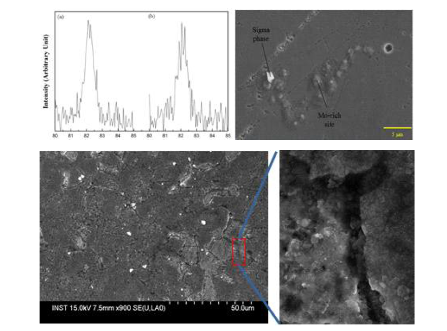 SS316 계열 시료의 수소 흡수에 따른 (a) sigma phase 와 (b) Mo-carbide phase의 XRD와 SEM 측정 결과