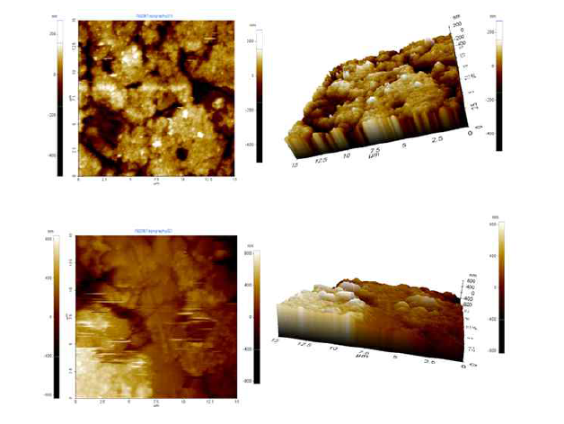 SS316LN시료의 수소 잠입 전(위)과 후(아래) 측정한 AFM 결과