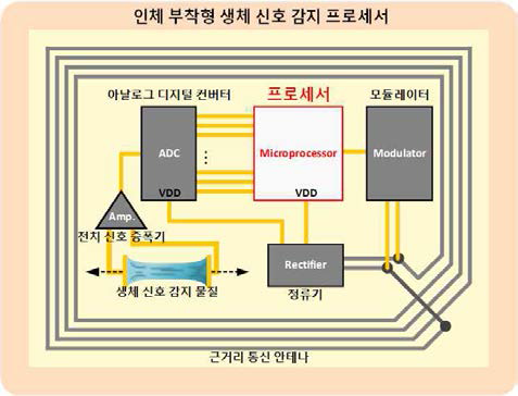 인체 부착형 생체신호감지 프로세서의 개념도
