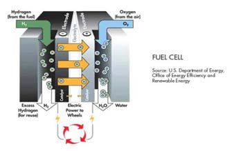연료 전지
