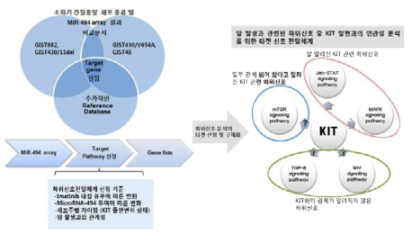 Microarray 결과를 이용한 생물정보학 분석 예측 모식도