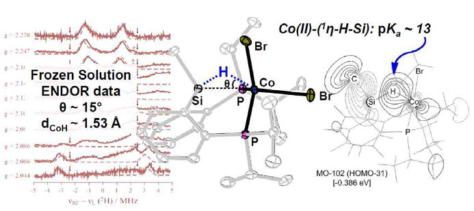 (MeSiP2)CoBr2 착물에서 발견된 Si-H와 Co 간의 새로운 상호작용과 관련 분석