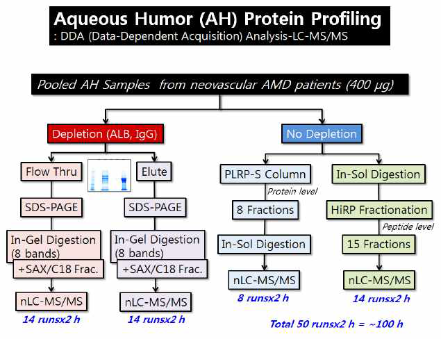 방수 (aqueous humor, AH) proteome 분석의 flowchart