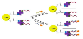 실리카 나노입자와 형광안료가 결합된 DNA 결합용액의 형광 그래프 비교