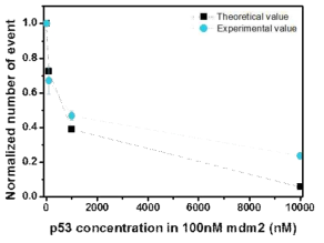 p53TAD와 농도 변화에 따른 p53TAD-mdm2 상호작용 분석 및 이론값과의 비교 결과
