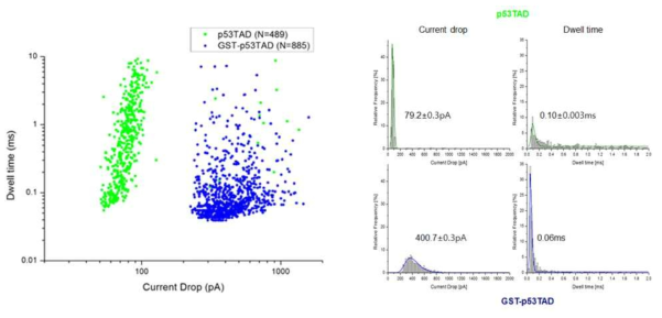 p53 TAD (green) 와 GST-fused p53 TAD (blue) 의 translocation event의 통계적 분석 (좌) p53 TAD (green) 와 GST-fused p53 TAD (blue) 의 scatter plot (우) p53 TAD (green) 와 GST-fused p53 TAD (blue) 의 histogram