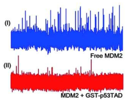MDM2–GST-p53TAD complex 형성에 대한 translocation event 변화 측정 (Ⅰ) 100nM MDM2 translcation 측정 (blue) (Ⅱ) MDM2 : GST-p53TAD = 1:1 complex 의 translocation 측정 (red)