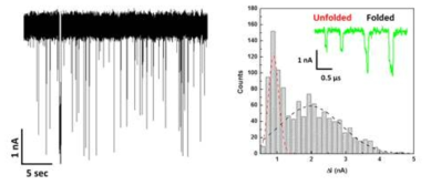 WS2 나노이온소자를 통한 DNA translocation trace 및 측정된 current signal 히스토그램