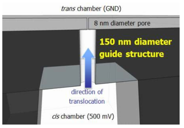 가이드 구조물과 결합된 나노이온소자의 개념도