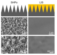 초발수 (SHPo) 와 윤활도포 표면 (LIS)의 개략도 및 SEM (Scanning Electron Microscope) 사진