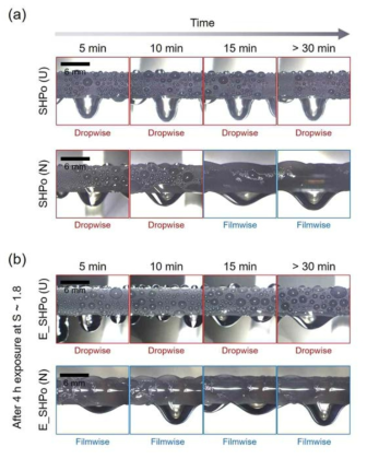 (a) 균일한 발수 코팅층이 적용된 초발수 표면 (SHPo (U))과 불균일한 발수 코팅층이 적용된 초발수 표면 (SHPo (N))의 응축 거동 모습. (b) 높은 응축 레벨에서 4시간 노출시킨 뒤 응축 거동의 변화 모습