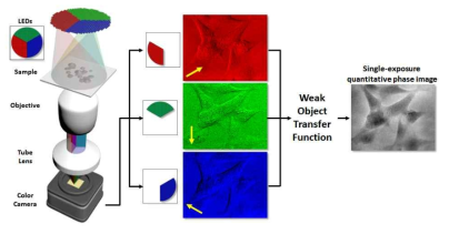 색 암호화 현미경(cLEDscope)의 개념도와 single-shot 정량 위상 영상 취득 원리