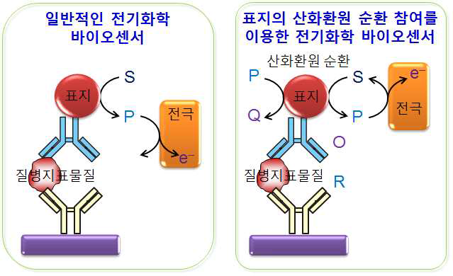 일반적인 전기화학 바이오센서와 개발 예정인 바이오센서의 비교