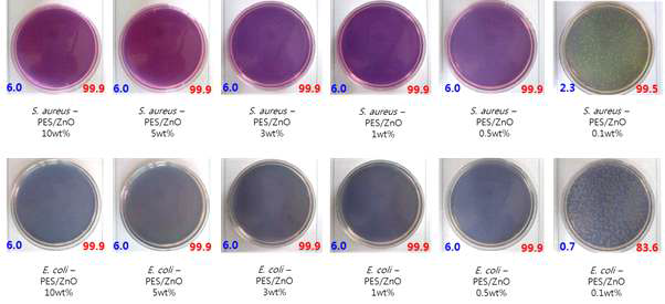 Antibacterial test of PES/ZnO 0.1 to 10wt%; E. coli and S. aureus