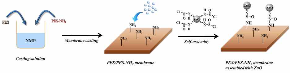 Preparation routes for the PES ultrafiltration membranes assembled with ZnO nanoparticles on the membrane surface