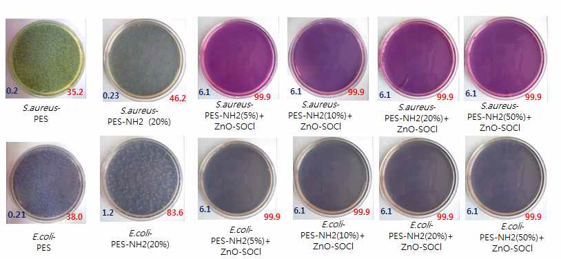 The antibacterial activities of PES and (PES/PES-NH2)//ZnO membranes