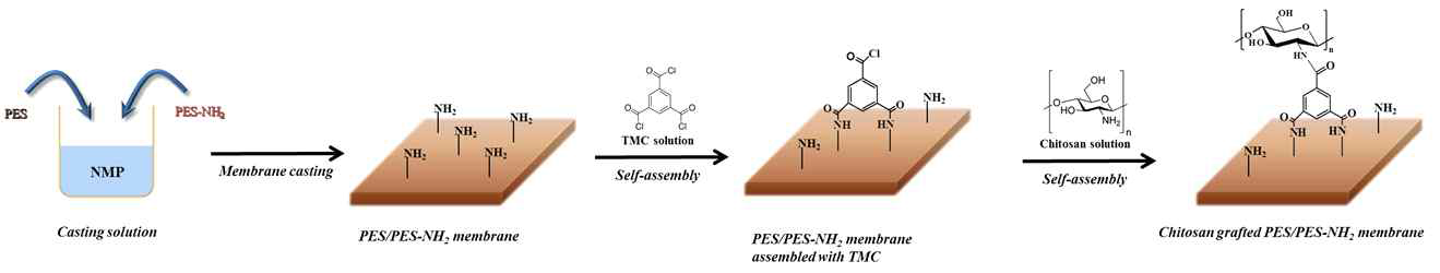 Preparation routes for the surface coated with chitosan