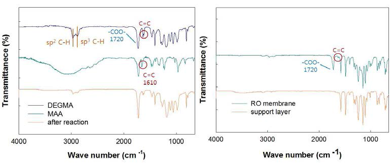 FT-IR spectra of vinyl monomers, support layer, and RO membranes having active layer formed from vinyl monomers