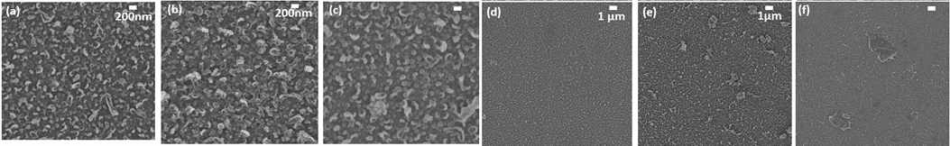 FE-SEM images of (a) MPDA/TMC, (b) MPDA/NO-NH2+TMC, (c) MPDA/GO-NH2+TMC, (d) MPDA/TMC, (e) MPDA+TMC/NO-COCl, and (f) MPDA+TMC/GO-COCl