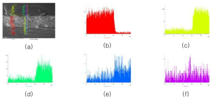 주사전자현미경(FE-SEM)과 에너지분산 스펙트럼(EDS)을 이용한 미세구조 및 line scan (a) EDS Line 분석 (b) Zr (c) Si (d) Al (e) Na (f) Ca