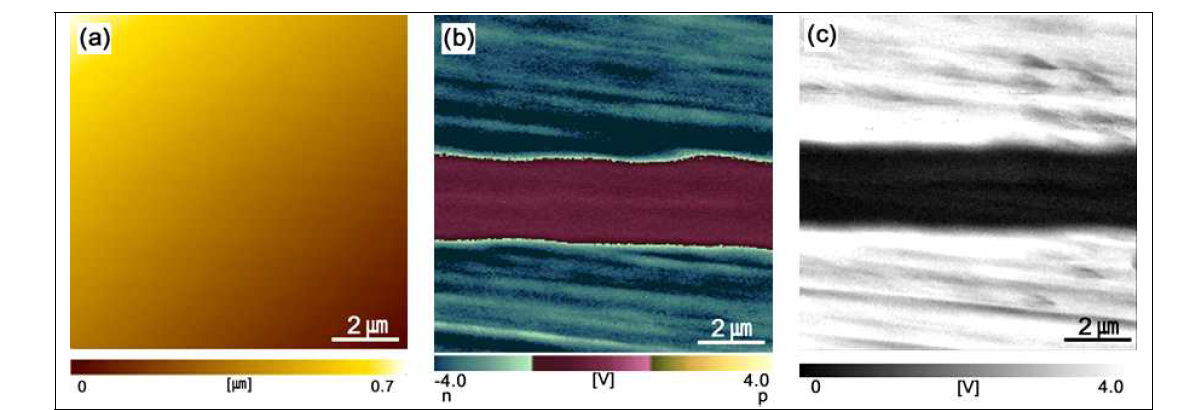 Scanning probe microscopic images of the SiC bi-crystal evaluated by scanning nonlinear dielectric microscopy: (a) topographic image, (b) carrier type image, and (c) carrier concentration image