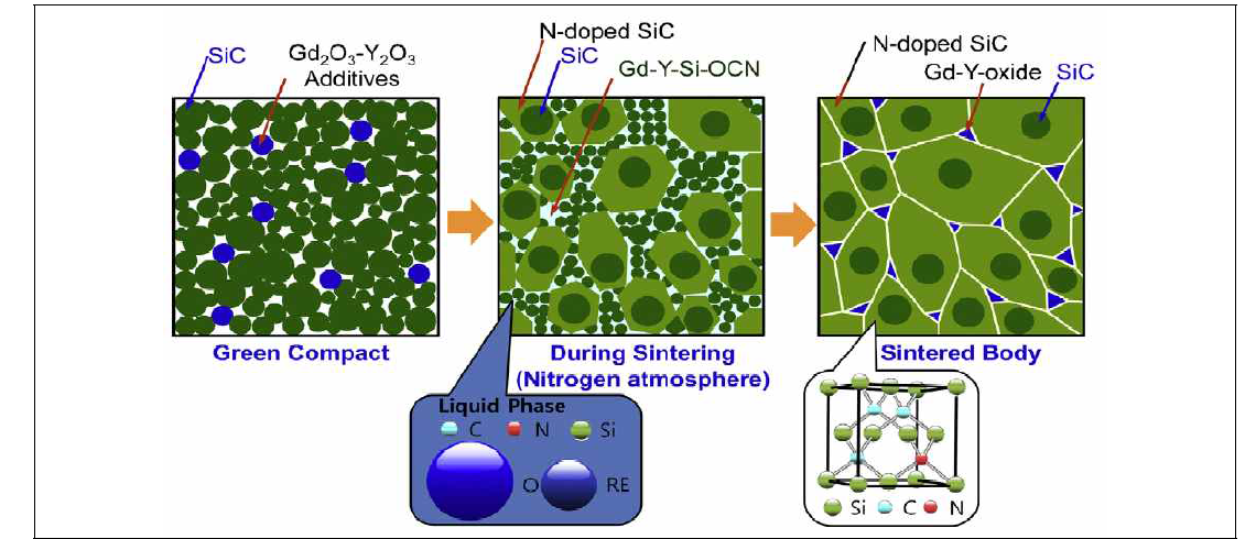 Schematic illustration of nitrogen-doping mechanism via solution-reprecipitation in SiC ceramics sintered with Gd2O3–Y2O3 in a nitrogen atmosphere
