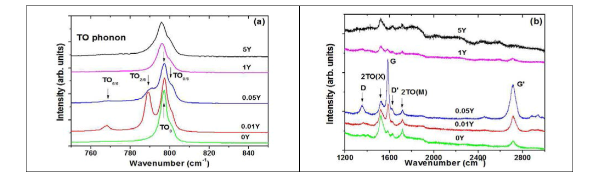 Raman spectra of SPS-processed SiC specimens: (a) wavenumber range below 1000 cm-1 and (b) above 1200 cm-1
