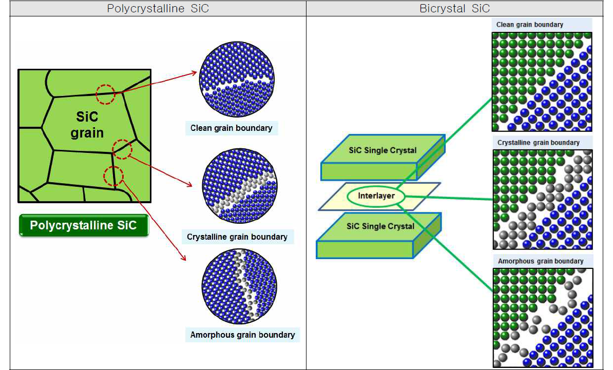 Schematic of grain boundaries of polycrystalline SiC and bicrystal SiC