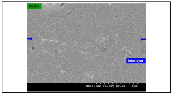 Typical microstructure of joined SiC ceramics using an AYC slurry