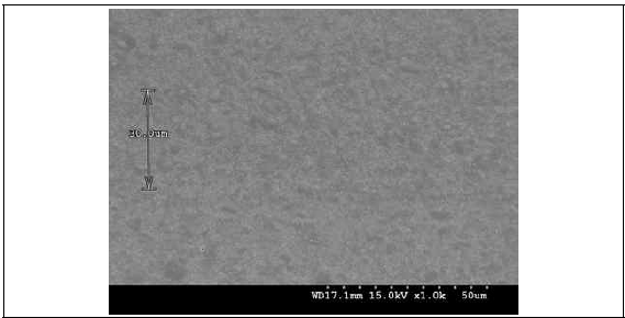 Typical microstructure of joined SiC ceramics using a silicon carbide interlayer