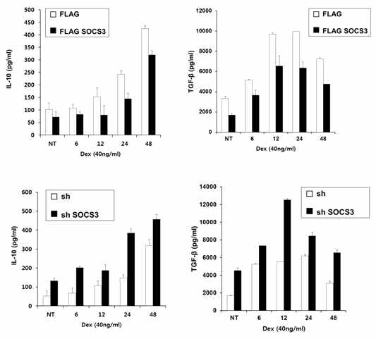 Inhibitory effect of SOCS3 on the Dex-induced M2 cytokine production