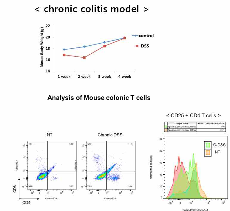 Establishment of DSS-induced Chronic Colitis model in mouse: Increased infiltration of CD4+ T cells in the colonic tissues with reduction in Treg phenotype