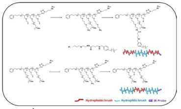 Amphiphilic PEO triblock copolymer