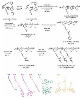 Synthetic scheme of cyclic-PGHPTAH-b-PGTTD bearing PTX(anticancer drug), IR probe, and GalN ligand