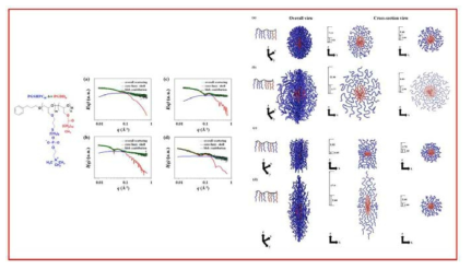 X-ray scattering analysis results of PGSHPC/PGDD amphiphilic brush block/random copolymer micelles