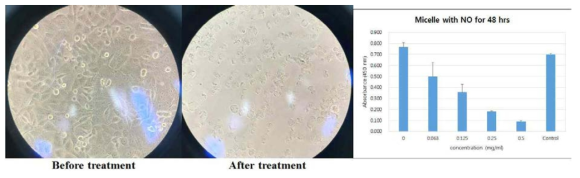 MTT NO release profile of NO-polymeric micelle