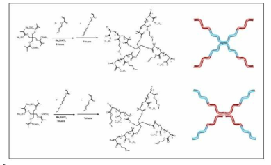 Amphiphilic star brush block copolymers synthesized by GTP