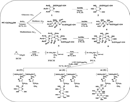 Synthetic scheme of amphiphilic brush copolymers bearing n-alkyl and mono- or multi-saccharide moieties