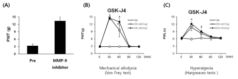 (A) Mechanical allodynia by MMP-9 inhibitor (B) Mechanical allodynia by JMJD3 inhibitor (C) Thermal hyperalgesia by JMJD3 inhibitor