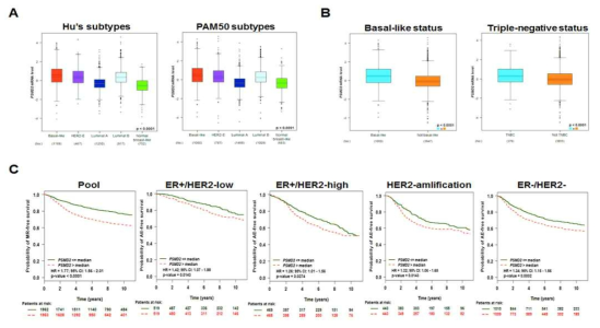 유방암 subtype에 따른 PSMD2의 발현 및 PSMD2 발현에 따른 생존곡선