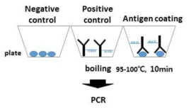 plate 지지체를 이용한 immuno-PCR 방법