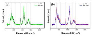 제조된 탄소점의 Raman Spectra. (a) MCC, (b) Pulp