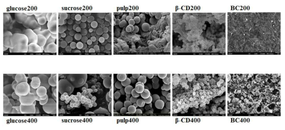 단/다당류 및 특수 사카라이드의 열수탄화를 통해 얻은 탄소나노소재의 FESEM 이미지 (×10,000)