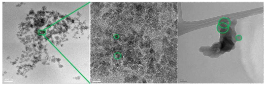 이온성 액체 처리를 통한 나노-크리스탈셀룰로오스(nano-crystal cellulose)의 TEM 이미지