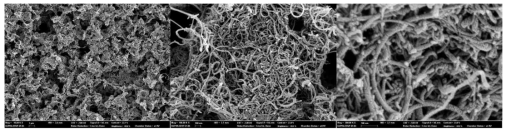 열수탄화된 β-Cyclodextrin/MWCNT의 SEM 이미지