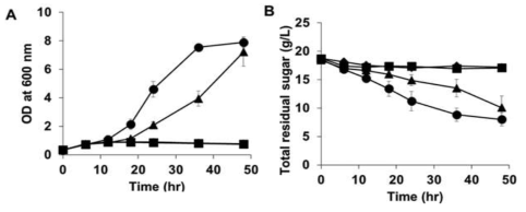 통합 균주의 헤미셀룰로오스 기반 세포성장. A.세포성장 곡선 B. 총 당류 소모 곡선 ◆:pCES208 (공벡터) ■:pXU2T7(헤미셀룰로오스 분해 시스템없는 플라스미드)▲:pHCBP205 ●:pHCBP275