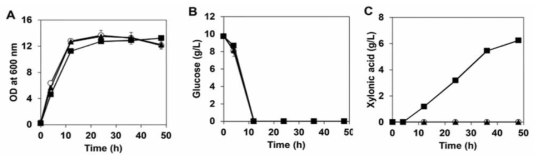 헤미셀룰로오스 기반 xylonic acid 생산 결과 A: 세포생장그래프 B: Glucose 소모그래프 C: xylonic aicd 생산 그래프 ◯:Empty plasmid ▲:자일로스 분해 플라스미드 ■:pUXED (xylsoe 분해 및 xylonic acid 생산 플라스미드)