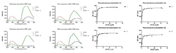 형광 분석을 통한 IQ 화합물과 PDEδ 단백질과의 상호작용 연구
