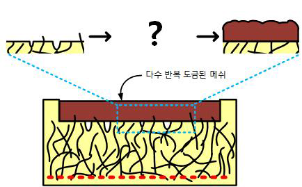 몰드에 있어 다수 반복 도금시의 영향