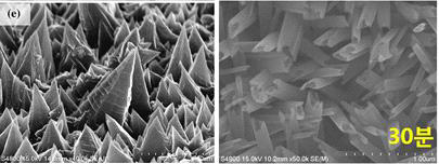 도금법을 이용하여 제작된 나노구조(왼쪽), 산화법을 이용하여 제작된 나노구조(오른쪽)